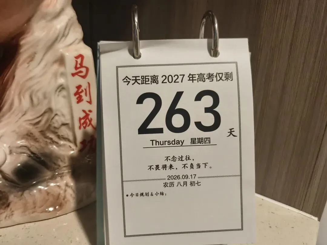 高考倒计时263:珍惜高三的每一个假期:为了手机-第1张图片-四季读书网