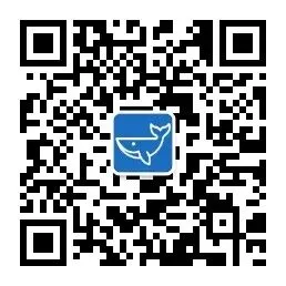 深圳育才中学2026年高考红榜-第7张图片-四季读书网 深圳育才中学2026年高考红榜-第7张图片-四季读书网