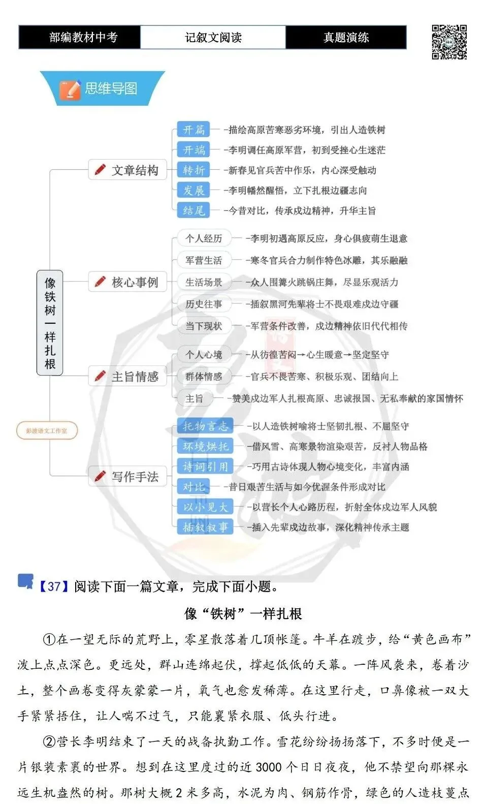 【中考现代文阅读-真题演练】37-像“铁树”一样扎根-思维导图+试题精析-第5张图片-四季读书网