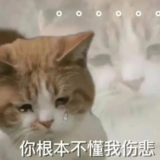 初三学生出门补课,爸妈把他养了4年的两只猫都扔掉了,他找遍整个小区都没找到-第9张图片-四季读书网