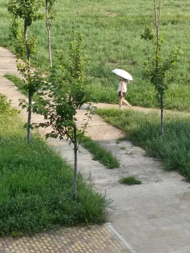 26真题:如果你是一名交警,如何处理午间停车点矛盾?-第4张图片-四季读书网