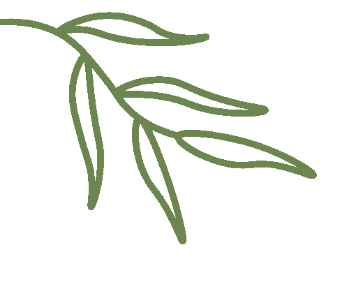 高考英语应用文:真正要固定的,不是模板,而是交际功能-第5张图片-四季读书网