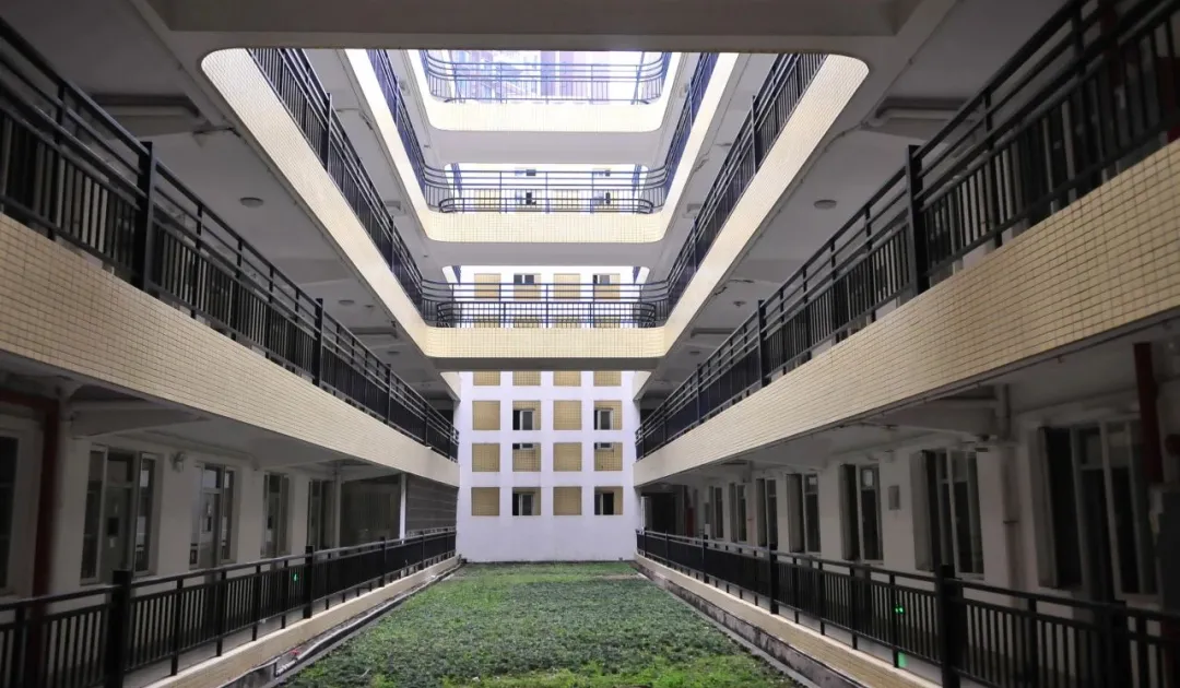 数字说话:华新学校,2026年中考成绩告诉你什么是白云区性价比之王!-第14张图片-四季读书网