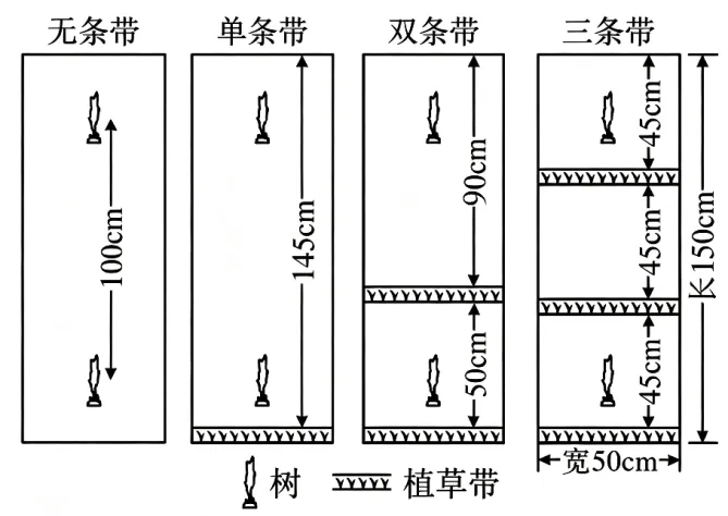 2026年高考海南卷地理高考真题(解析版)-第4张图片-四季读书网 2026年高考海南卷地理高考真题(解析版)-第4张图片-四季读书网