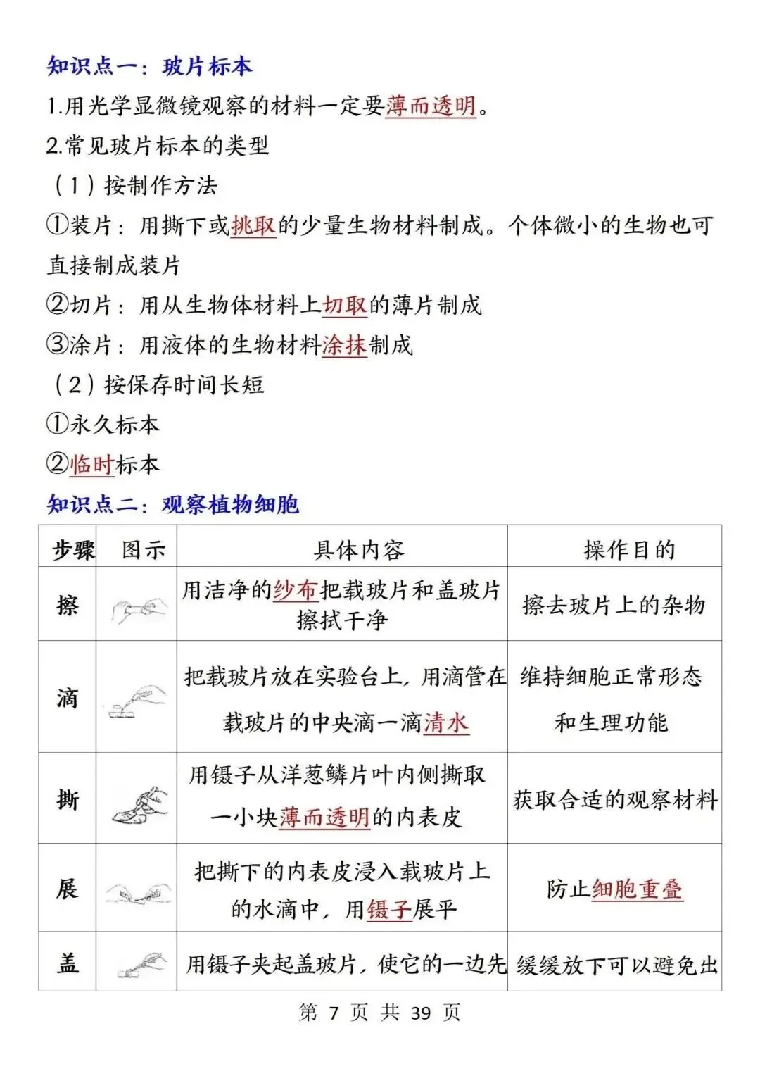 初一新版 2026 年七上生物全册重点知识点背诵总结,电子打印版!-第7张图片-四季读书网