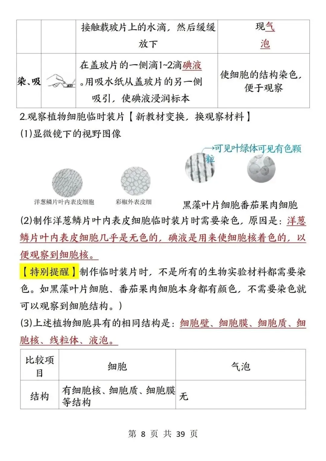 初一新版 2026 年七上生物全册重点知识点背诵总结,电子打印版!-第9张图片-四季读书网