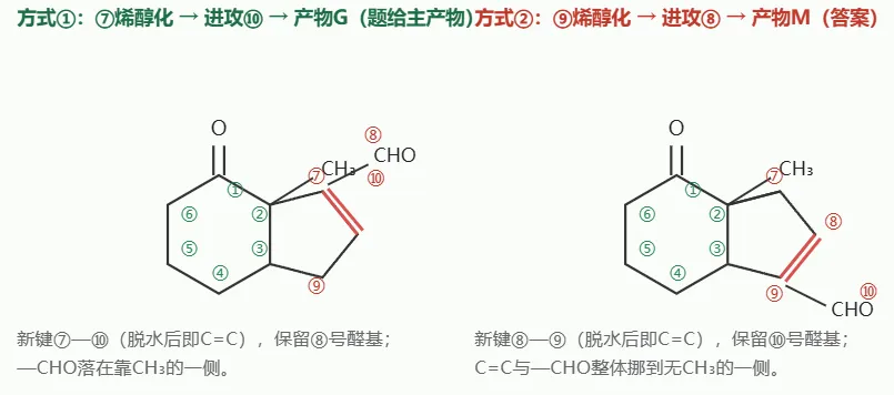 【高考备考】高考化学有机推断技巧之——给碳原子编号,看穿羟醛缩合-第6张图片-四季读书网 【高考备考】高考化学有机推断技巧之——给碳原子编号,看穿羟醛缩合-第6张图片-四季读书网