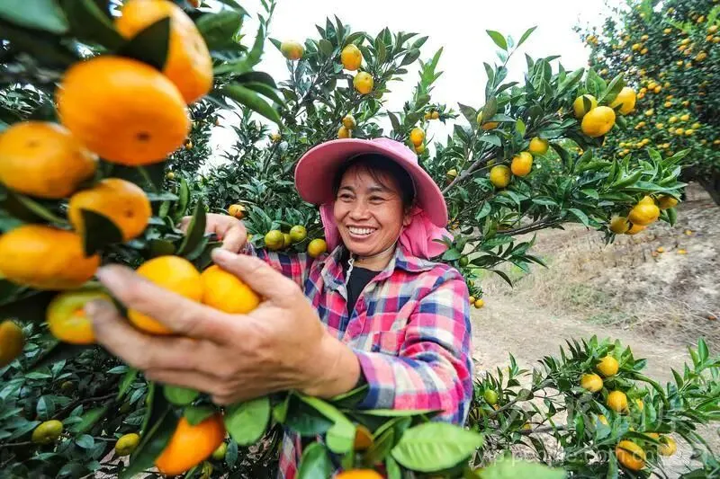 【言语理解】行测言语中心理解真题第二篇:理清文段,抓住中心句-第24张图片-四季读书网 【言语理解】行测言语中心理解真题第二篇:理清文段,抓住中心句-第24张图片-四季读书网
