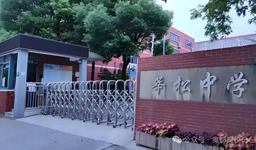 26年中考战报丨莘松中学-第1张图片-四季读书网 26年中考战报丨莘松中学-第1张图片-四季读书网