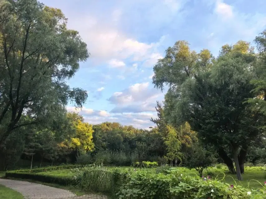 初二儿子又忘带书和水,我硬着心肠没去送——有时间却拒绝孩子,我是不是太狠心了?-第1张图片-四季读书网