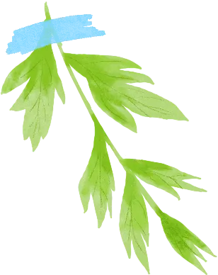 趣味试卷答起来,金融风险学明白——永安财险北分创新社区宣教新模式-第4张图片-四季读书网