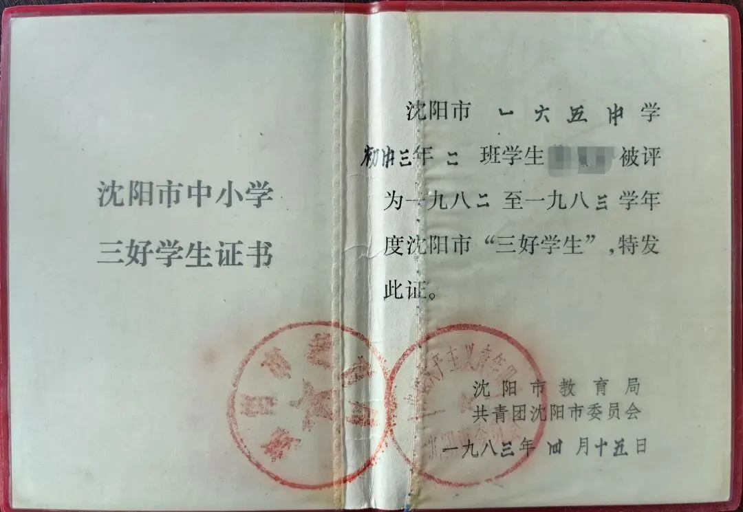 日记中的初中时光(初三)-第3张图片-四季读书网