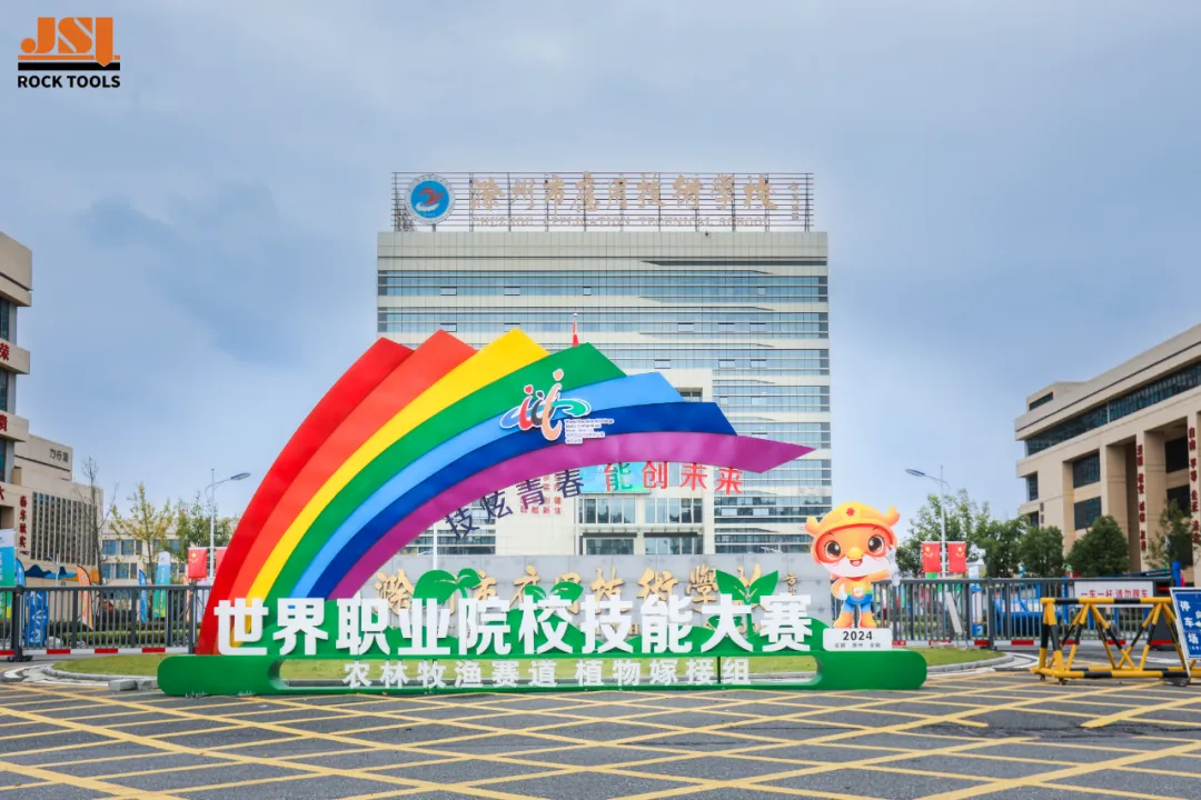 133+人 !我校2026年对口高考本科录取人数再次刷新历史纪录!-第11张图片-四季读书网