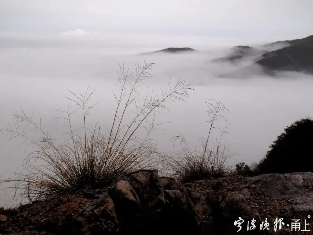 仅0℃!除夕、初一很冷,好消息是……-第4张图片-四季读书网 仅0℃!除夕、初一很冷,好消息是……-第4张图片-四季读书网