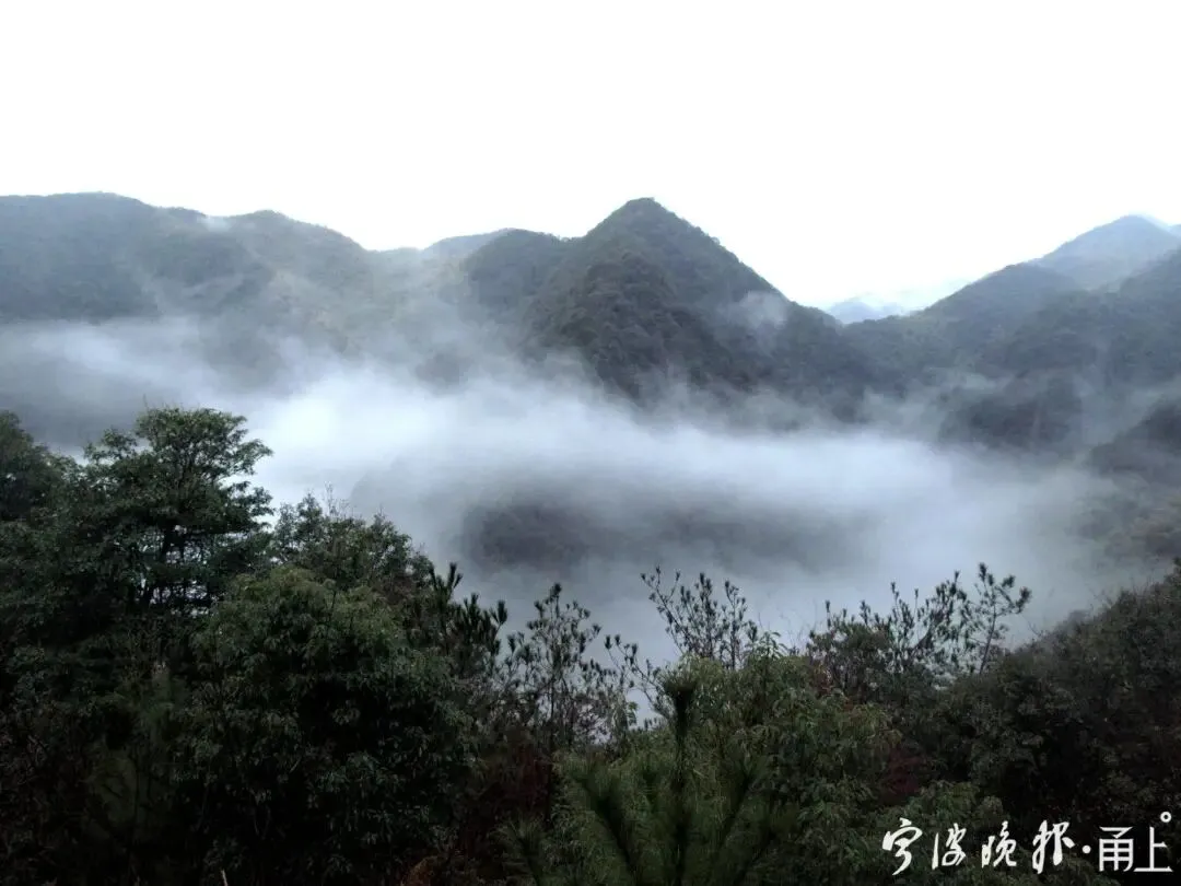 仅0℃!除夕、初一很冷,好消息是……-第5张图片-四季读书网 仅0℃!除夕、初一很冷,好消息是……-第5张图片-四季读书网