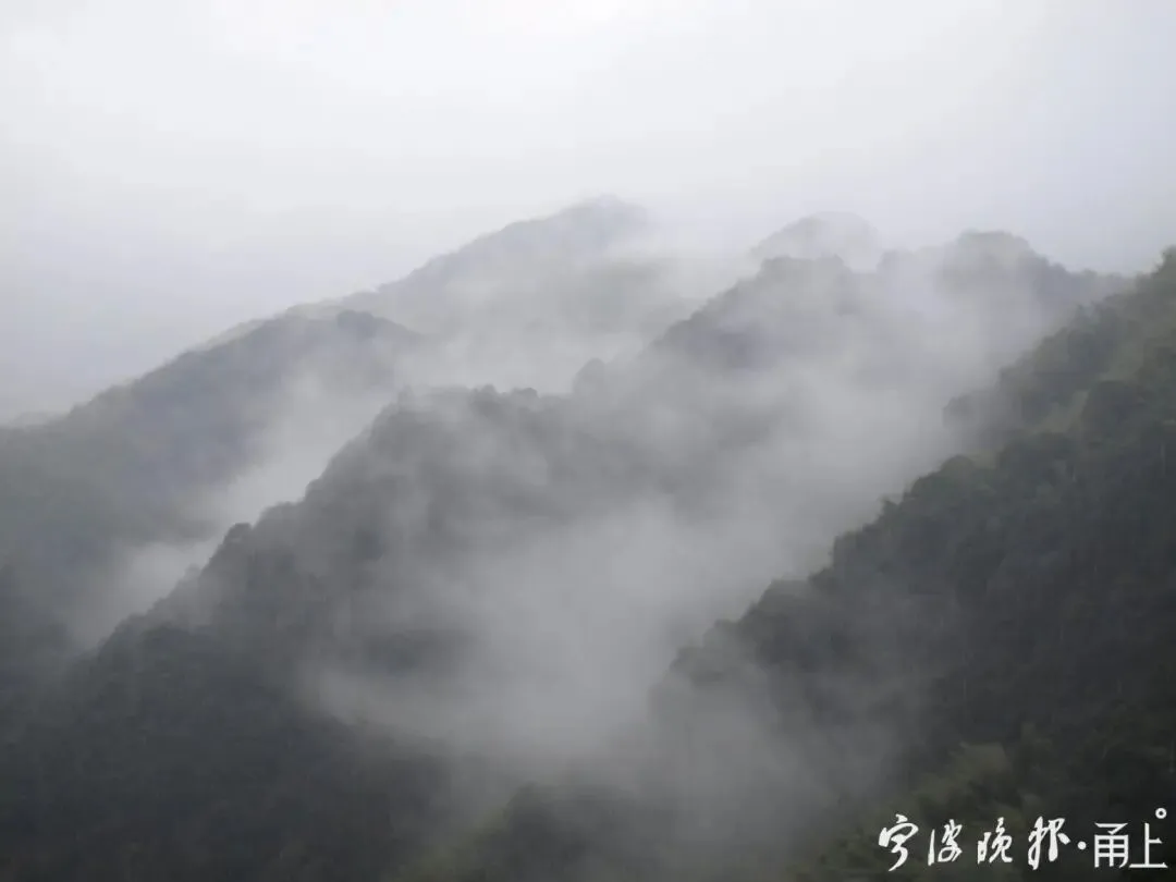 仅0℃!除夕、初一很冷,好消息是……-第6张图片-四季读书网 仅0℃!除夕、初一很冷,好消息是……-第6张图片-四季读书网