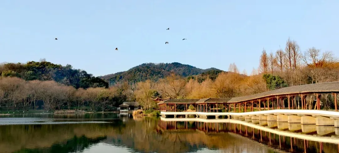 除夕、初一有雨!一波冷空气随后到,气温跌至……春节假期哪几天放晴?-第2张图片-四季读书网 除夕、初一有雨!一波冷空气随后到,气温跌至……春节假期哪几天放晴?-第2张图片-四季读书网