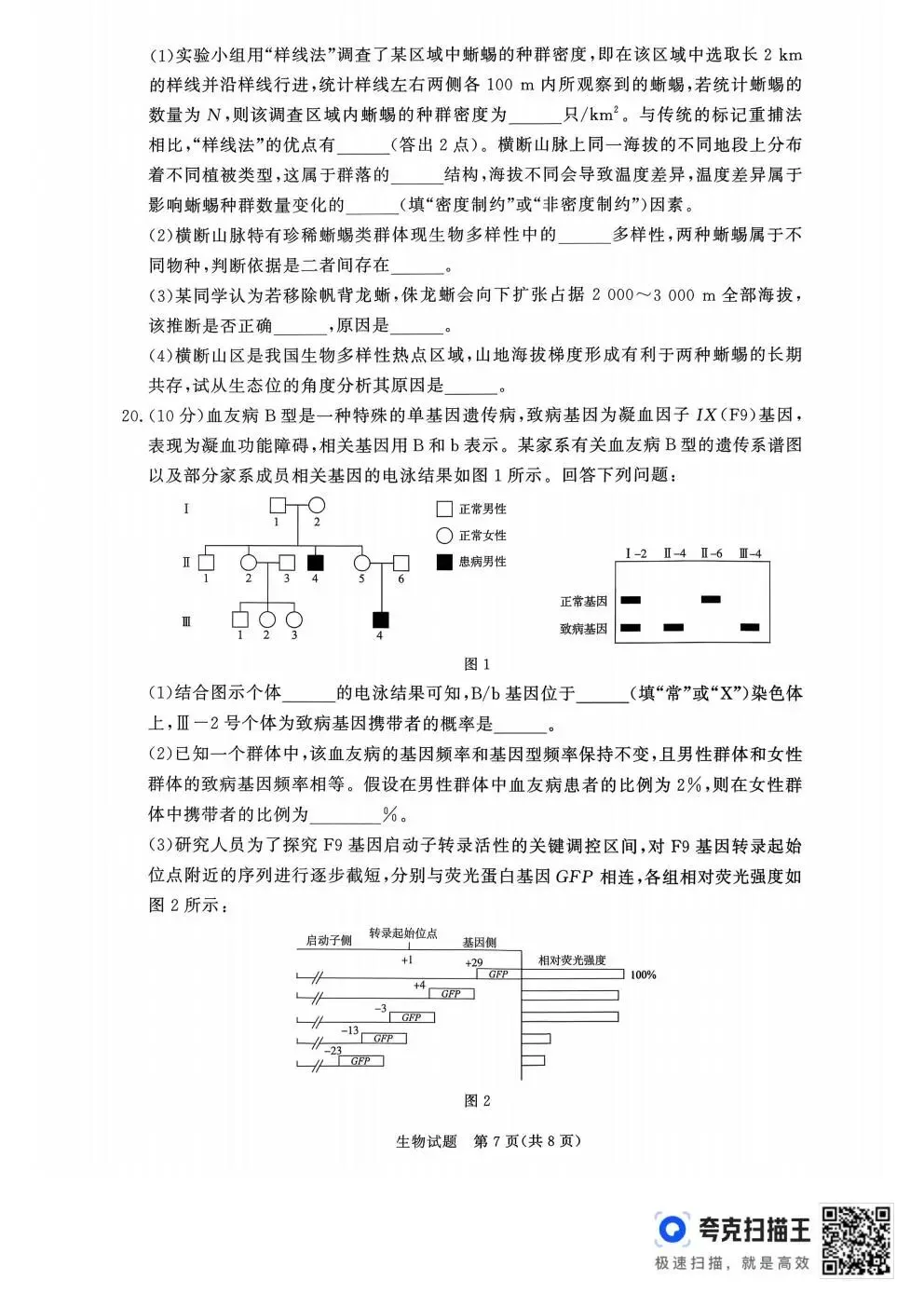 【高三试卷】河南省青桐鸣大联考2027届高三上学期9月学情调研及答案(9科全,可打印)-第52张图片-四季读书网 【高三试卷】河南省青桐鸣大联考2027届高三上学期9月学情调研及答案(9科全,可打印)-第52张图片-四季读书网