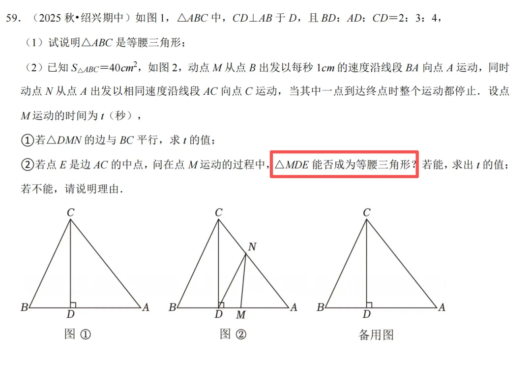 初二上必考专题2:特殊三角形经典题型合集-第60张图片-四季读书网