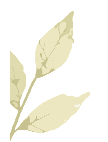 复盘中考 聚焦课堂 探寻初中语文优化提质路径 | 迪茵公学初中语文科组研讨会顺利举行-第10张图片-四季读书网