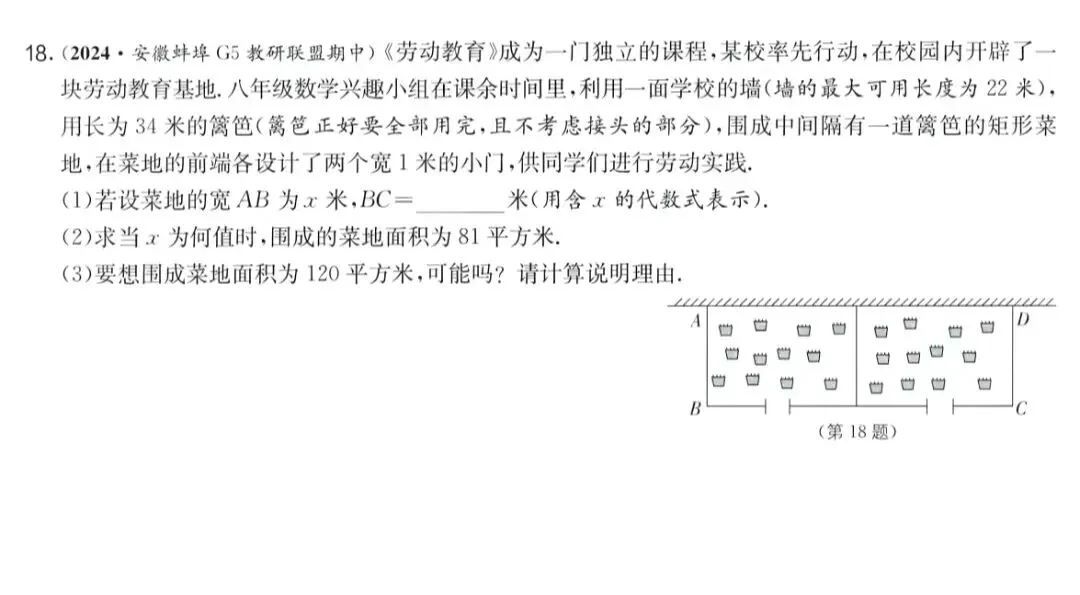 初三年级练习题-第1张图片-四季读书网
