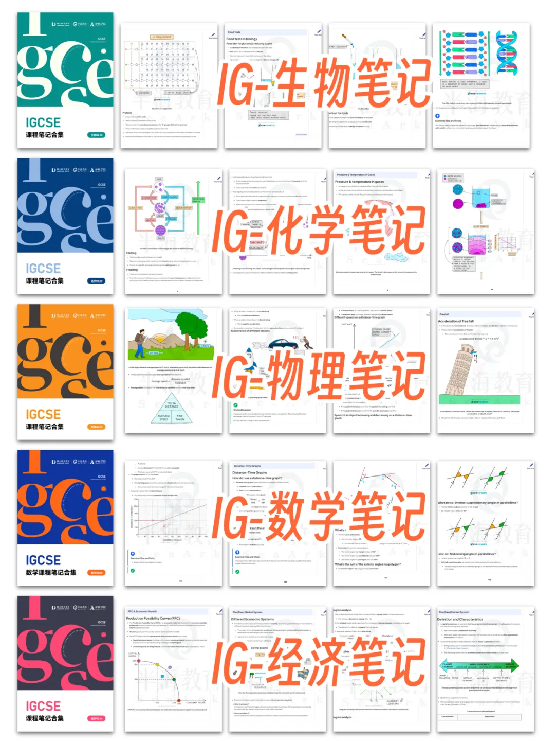 初二转轨国际,从全家反对到IG 4门A*,他说这两年像在喝一杯＂意式浓缩＂-第6张图片-四季读书网