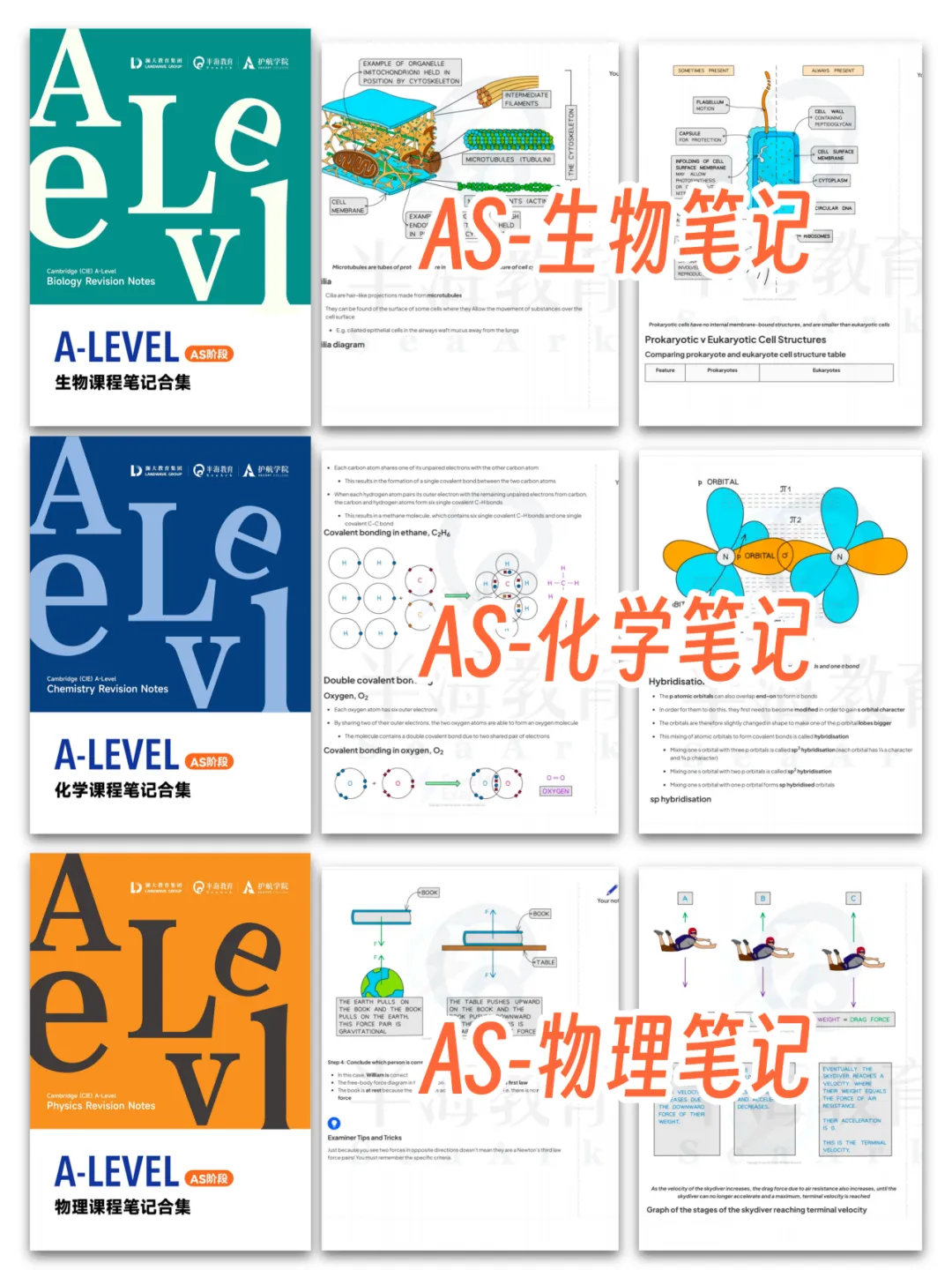 初二转轨国际,从全家反对到IG 4门A*,他说这两年像在喝一杯＂意式浓缩＂-第7张图片-四季读书网