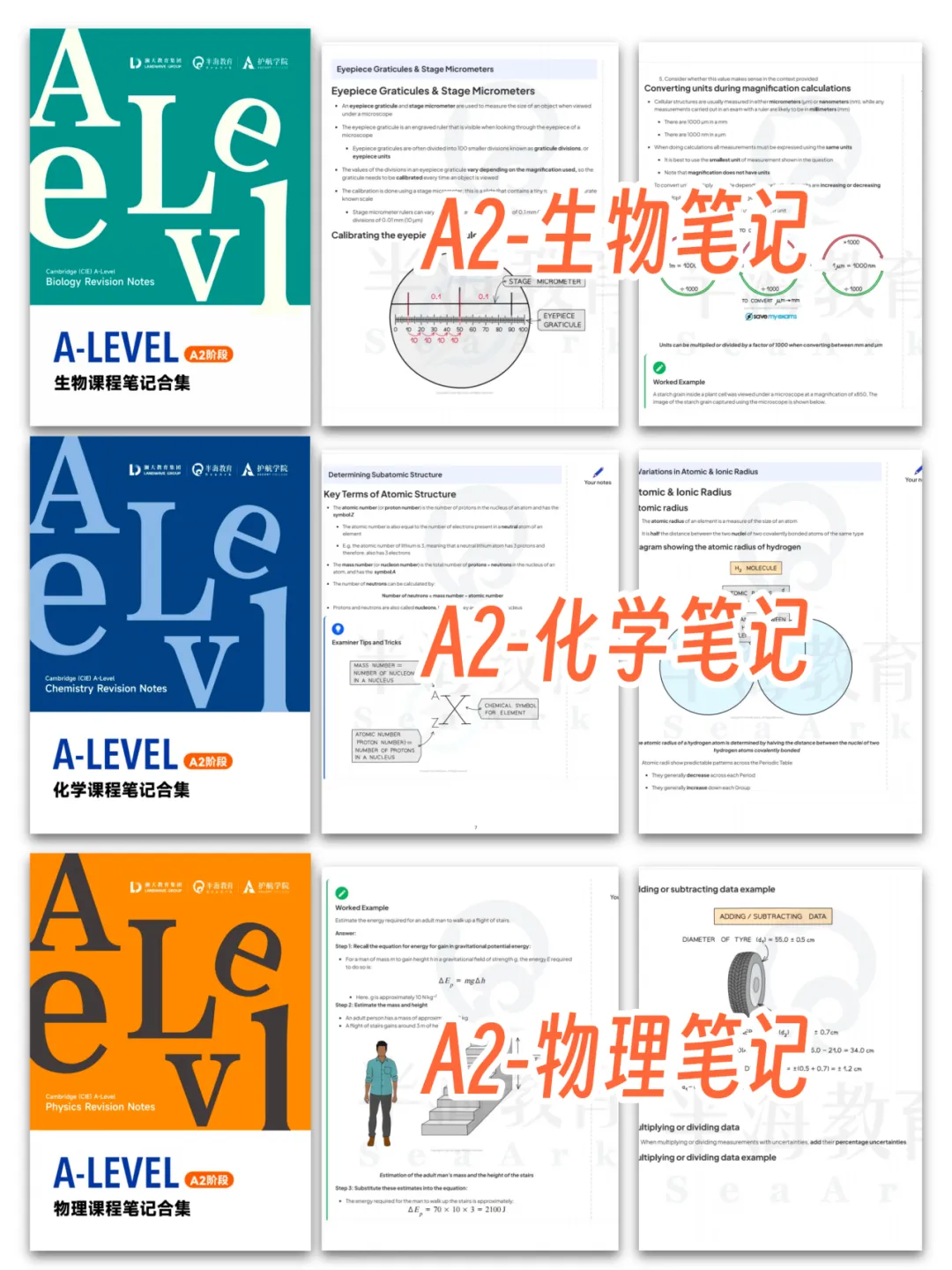 初二转轨国际,从全家反对到IG 4门A*,他说这两年像在喝一杯＂意式浓缩＂-第8张图片-四季读书网