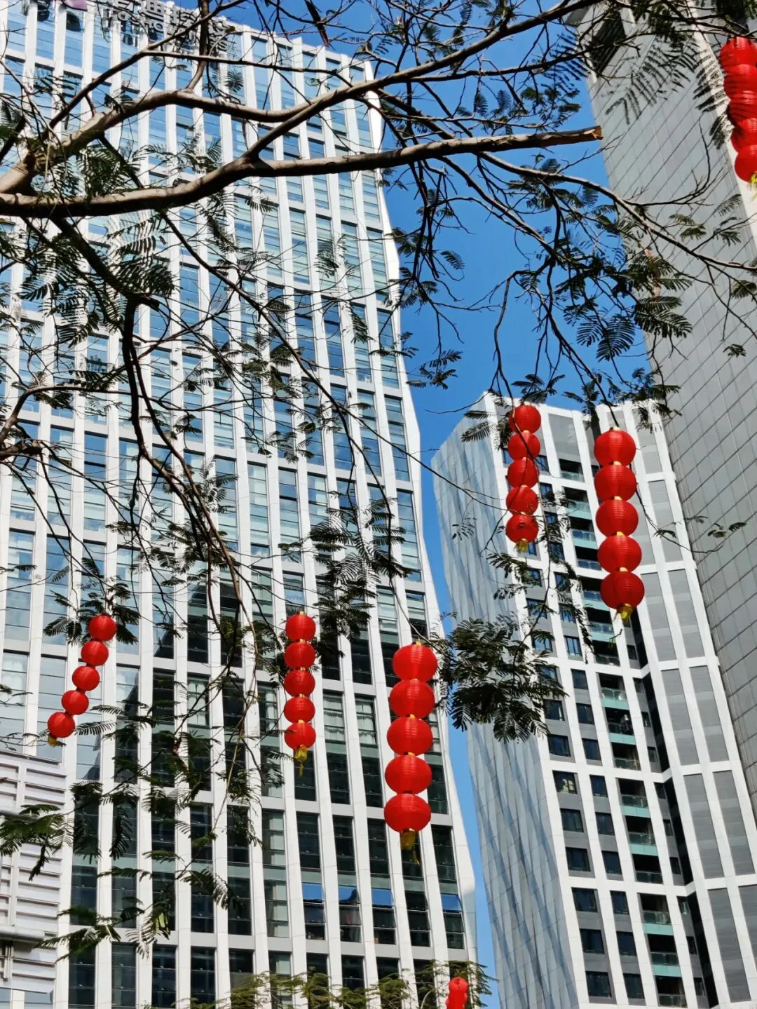 正月初一,圳里过-第25张图片-四季读书网 正月初一,圳里过-第25张图片-四季读书网