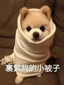 天气 | 二十八有雪!除夕初一大风降温!冷空气来“拜年”了……-第6张图片-四季读书网