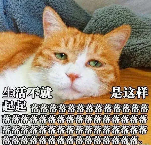 天气 | 二十八有雪!除夕初一大风降温!冷空气来“拜年”了……-第10张图片-四季读书网