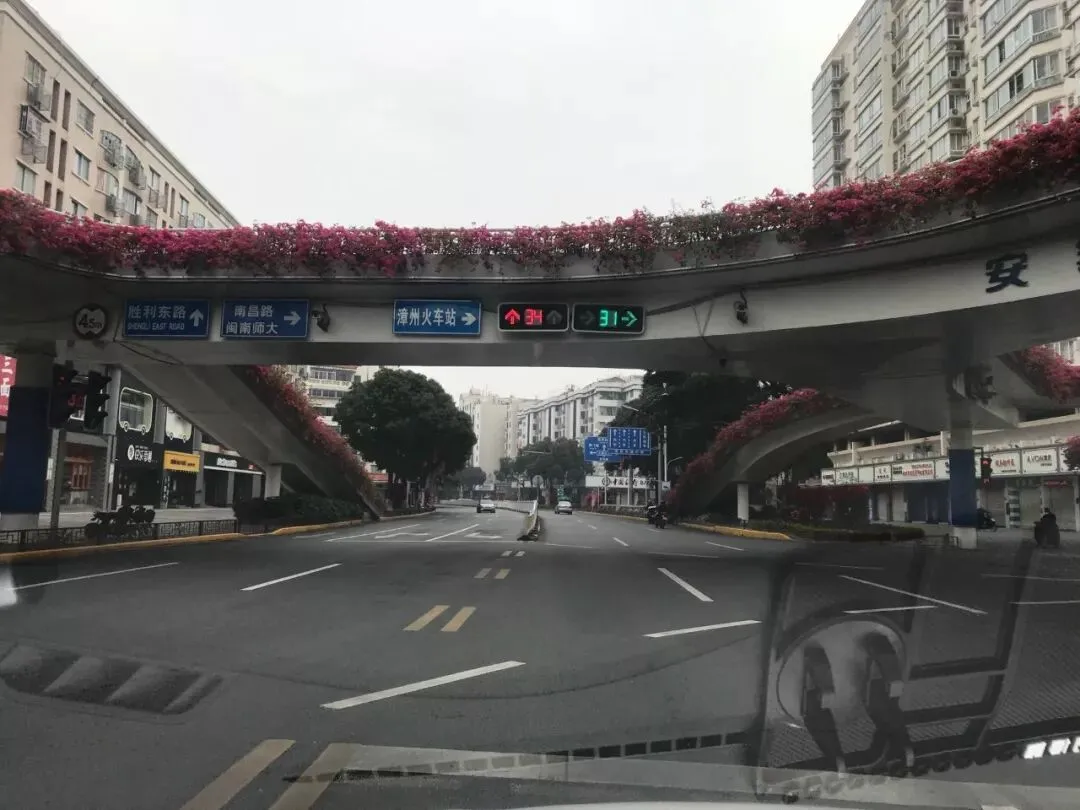 独家!正月初一,漳州的街景实拍,来看看街上有没有人?九龙公园有没有人来玩?-第9张图片-四季读书网 独家!正月初一,漳州的街景实拍,来看看街上有没有人?九龙公园有没有人来玩?-第9张图片-四季读书网