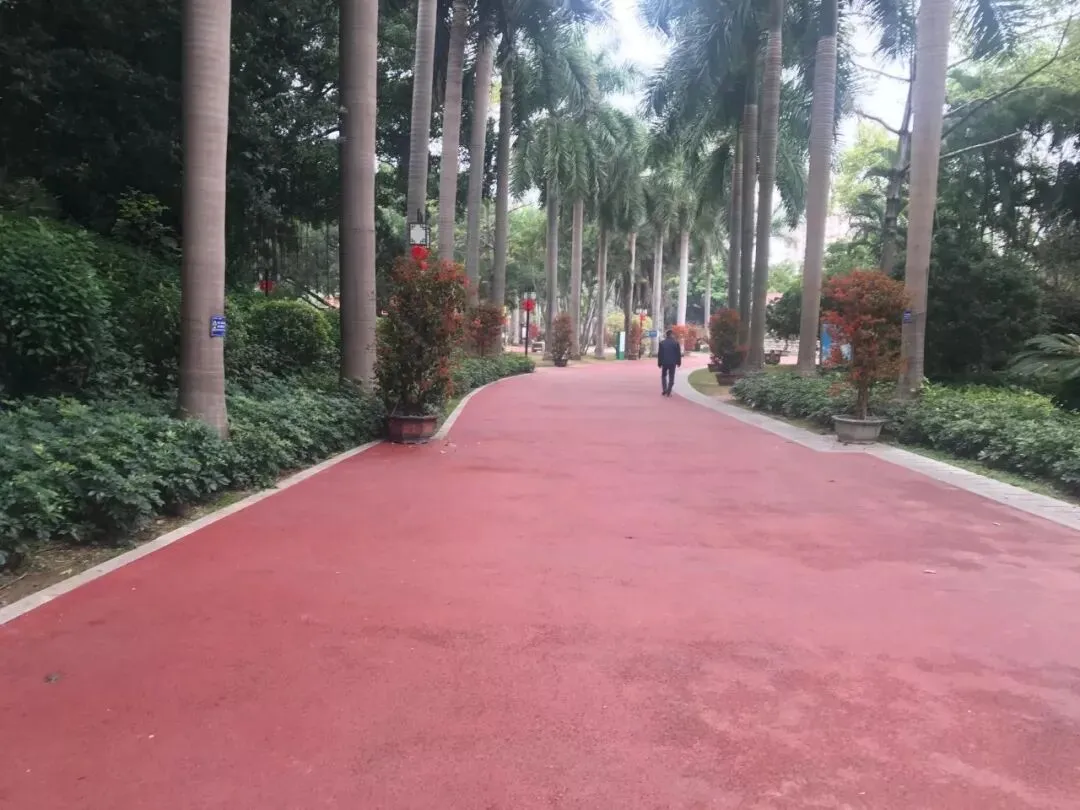 独家!正月初一,漳州的街景实拍,来看看街上有没有人?九龙公园有没有人来玩?-第22张图片-四季读书网 独家!正月初一,漳州的街景实拍,来看看街上有没有人?九龙公园有没有人来玩?-第22张图片-四季读书网
