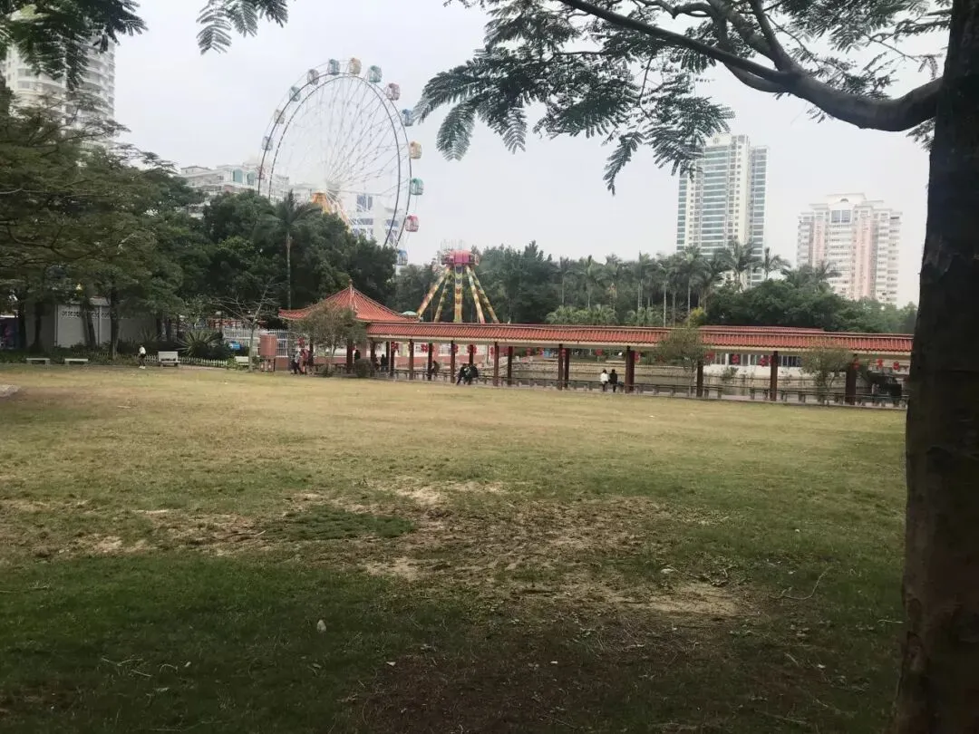 独家!正月初一,漳州的街景实拍,来看看街上有没有人?九龙公园有没有人来玩?-第23张图片-四季读书网 独家!正月初一,漳州的街景实拍,来看看街上有没有人?九龙公园有没有人来玩?-第23张图片-四季读书网