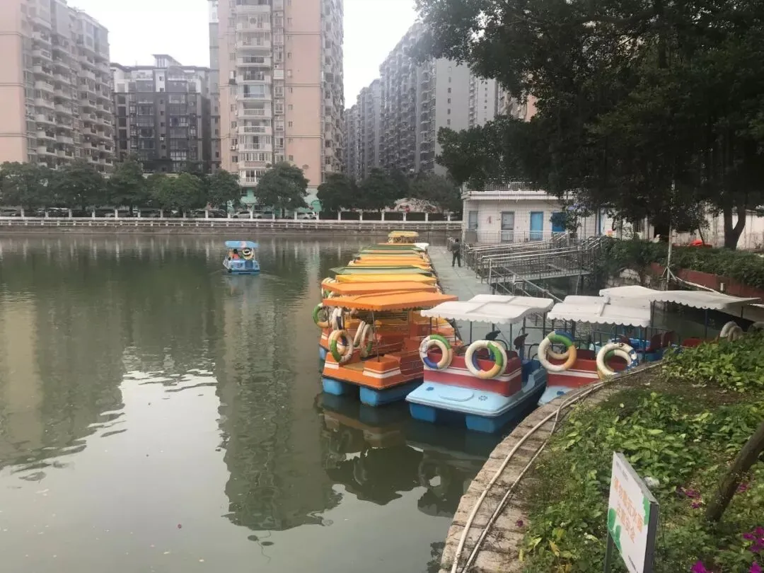 独家!正月初一,漳州的街景实拍,来看看街上有没有人?九龙公园有没有人来玩?-第34张图片-四季读书网 独家!正月初一,漳州的街景实拍,来看看街上有没有人?九龙公园有没有人来玩?-第34张图片-四季读书网