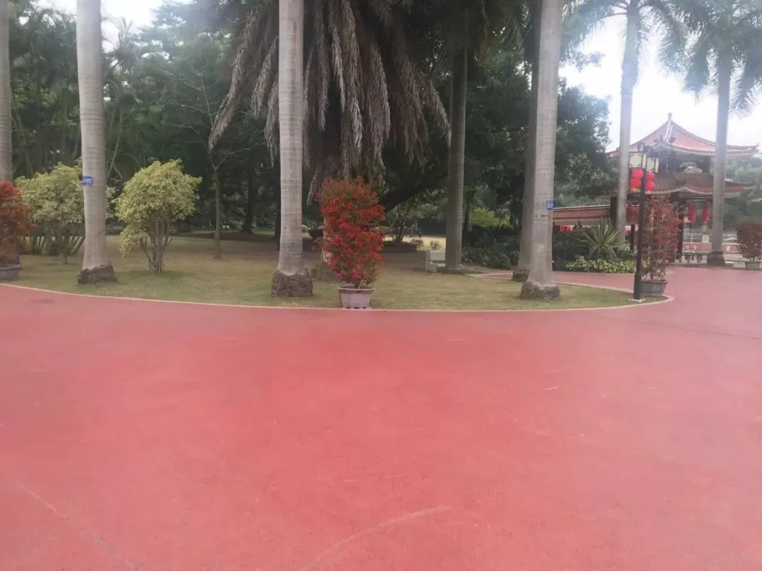 独家!正月初一,漳州的街景实拍,来看看街上有没有人?九龙公园有没有人来玩?-第35张图片-四季读书网 独家!正月初一,漳州的街景实拍,来看看街上有没有人?九龙公园有没有人来玩?-第35张图片-四季读书网