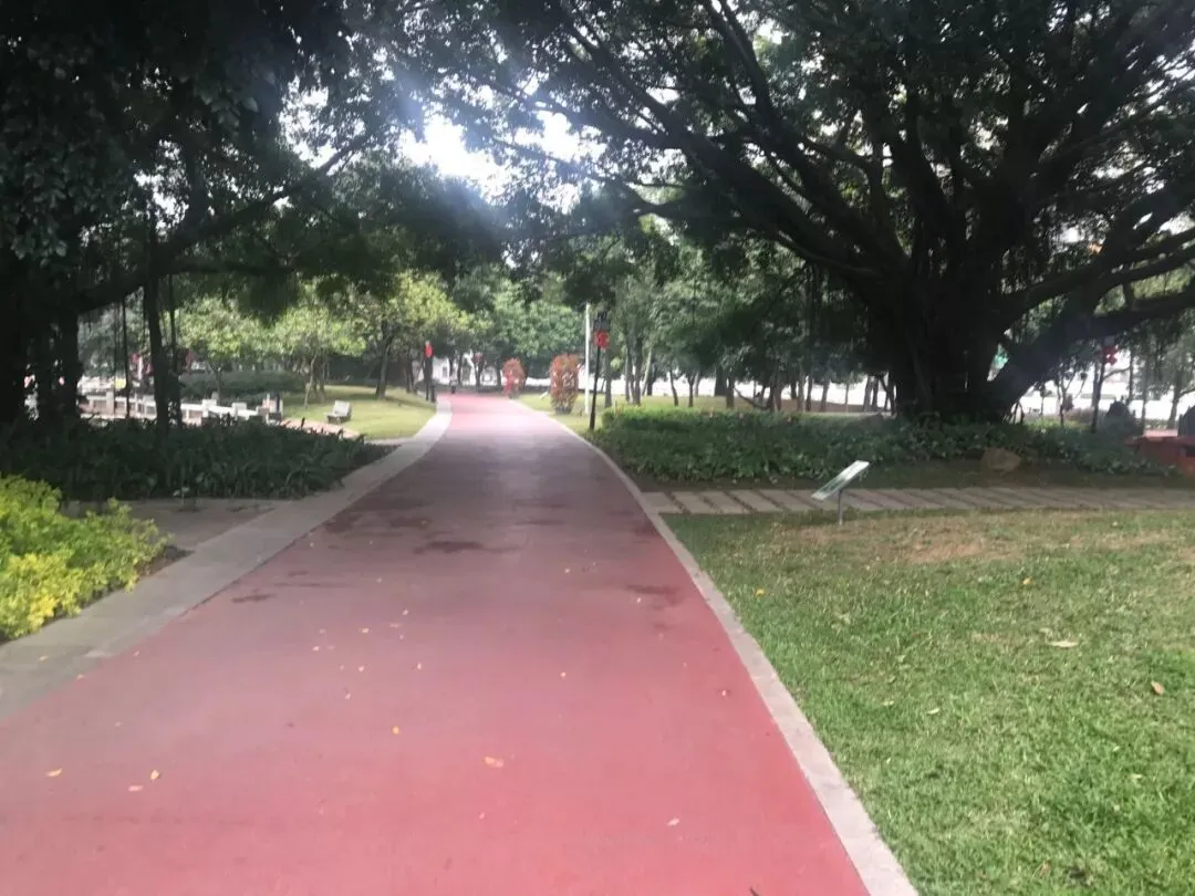 独家!正月初一,漳州的街景实拍,来看看街上有没有人?九龙公园有没有人来玩?-第36张图片-四季读书网 独家!正月初一,漳州的街景实拍,来看看街上有没有人?九龙公园有没有人来玩?-第36张图片-四季读书网