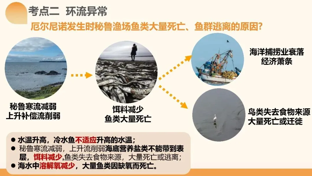2027年高考地理一轮复习第12讲 海气相互作用和环流异常(课件)(新教材新)海气相互作用最易踩的坑:背完所有结论,还是不会推-第15张图片-四季读书网