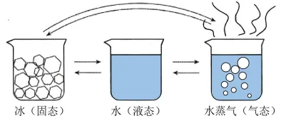 初二物理必考!第四章《物态变化》第一节核心笔记,搞定“温度与物质的三态”!-第1张图片-四季读书网