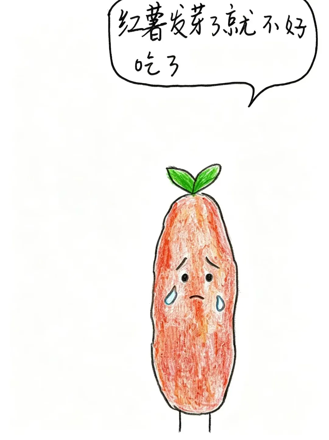 进入初三,老师家长脚板儿都爪紧了,孩子却要周末花两个半小时学画画玩,这是不是只问欢喜不问前程?-第3张图片-四季读书网 进入初三,老师家长脚板儿都爪紧了,孩子却要周末花两个半小时学画画玩,这是不是只问欢喜不问前程?-第3张图片-四季读书网
