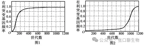 浙江省名校新高考研究联盟(Z20+名校联盟)2027届高三第一次学情诊断生物学试题卷答案及解析 ⊙-第6张图片-四季读书网 浙江省名校新高考研究联盟(Z20+名校联盟)2027届高三第一次学情诊断生物学试题卷答案及解析 ⊙-第6张图片-四季读书网
