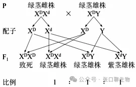 浙江省名校新高考研究联盟(Z20+名校联盟)2027届高三第一次学情诊断生物学试题卷答案及解析 ⊙-第16张图片-四季读书网 浙江省名校新高考研究联盟(Z20+名校联盟)2027届高三第一次学情诊断生物学试题卷答案及解析 ⊙-第16张图片-四季读书网