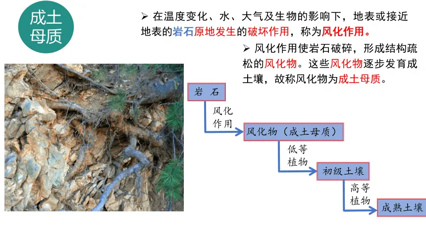 高考地理中的成土母质-第1张图片-四季读书网 高考地理中的成土母质-第1张图片-四季读书网