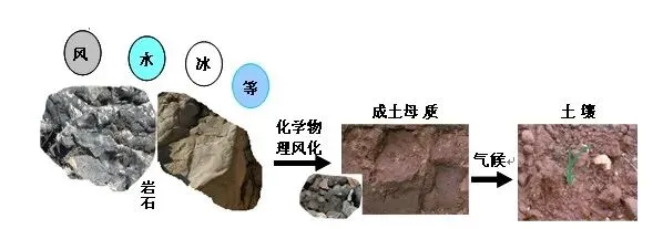 高考地理中的成土母质-第2张图片-四季读书网 高考地理中的成土母质-第2张图片-四季读书网