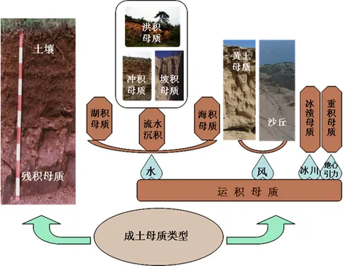 高考地理中的成土母质-第3张图片-四季读书网 高考地理中的成土母质-第3张图片-四季读书网