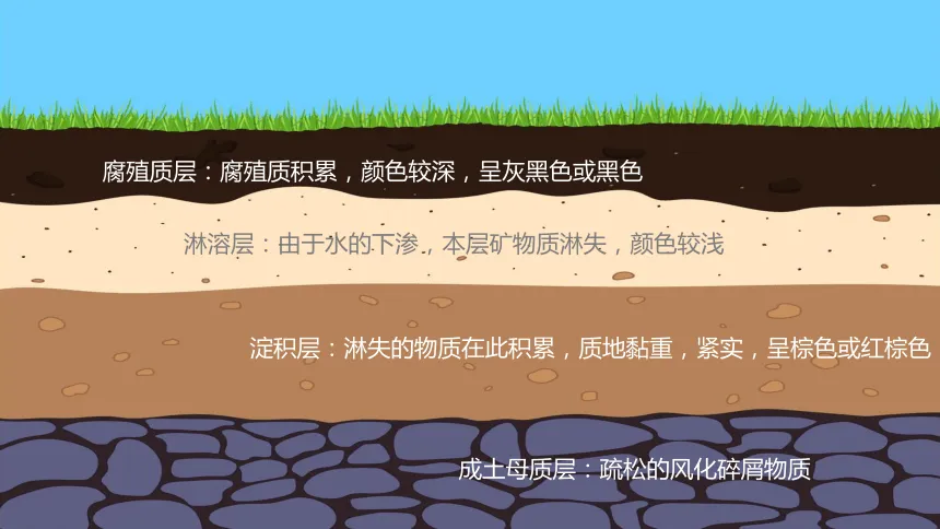高考地理中的成土母质-第4张图片-四季读书网 高考地理中的成土母质-第4张图片-四季读书网