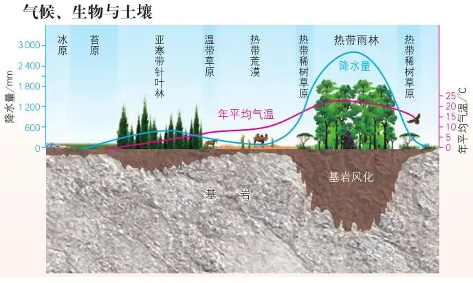 高考地理中的成土母质-第6张图片-四季读书网 高考地理中的成土母质-第6张图片-四季读书网