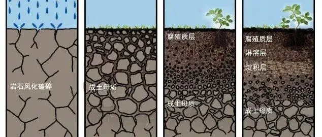 高考地理中的成土母质-第8张图片-四季读书网 高考地理中的成土母质-第8张图片-四季读书网