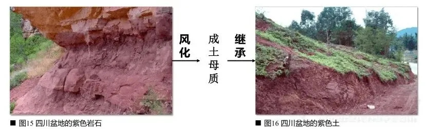高考地理中的成土母质-第9张图片-四季读书网 高考地理中的成土母质-第9张图片-四季读书网