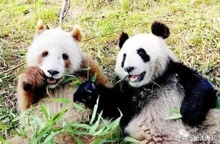 初三学生困电梯5小时,淡定求救并写完作业!我一心只有学习!-第10张图片-四季读书网 初三学生困电梯5小时,淡定求救并写完作业!我一心只有学习!-第10张图片-四季读书网